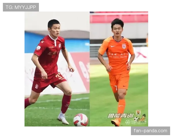 青训规则如何界定球员归属与转会补偿？